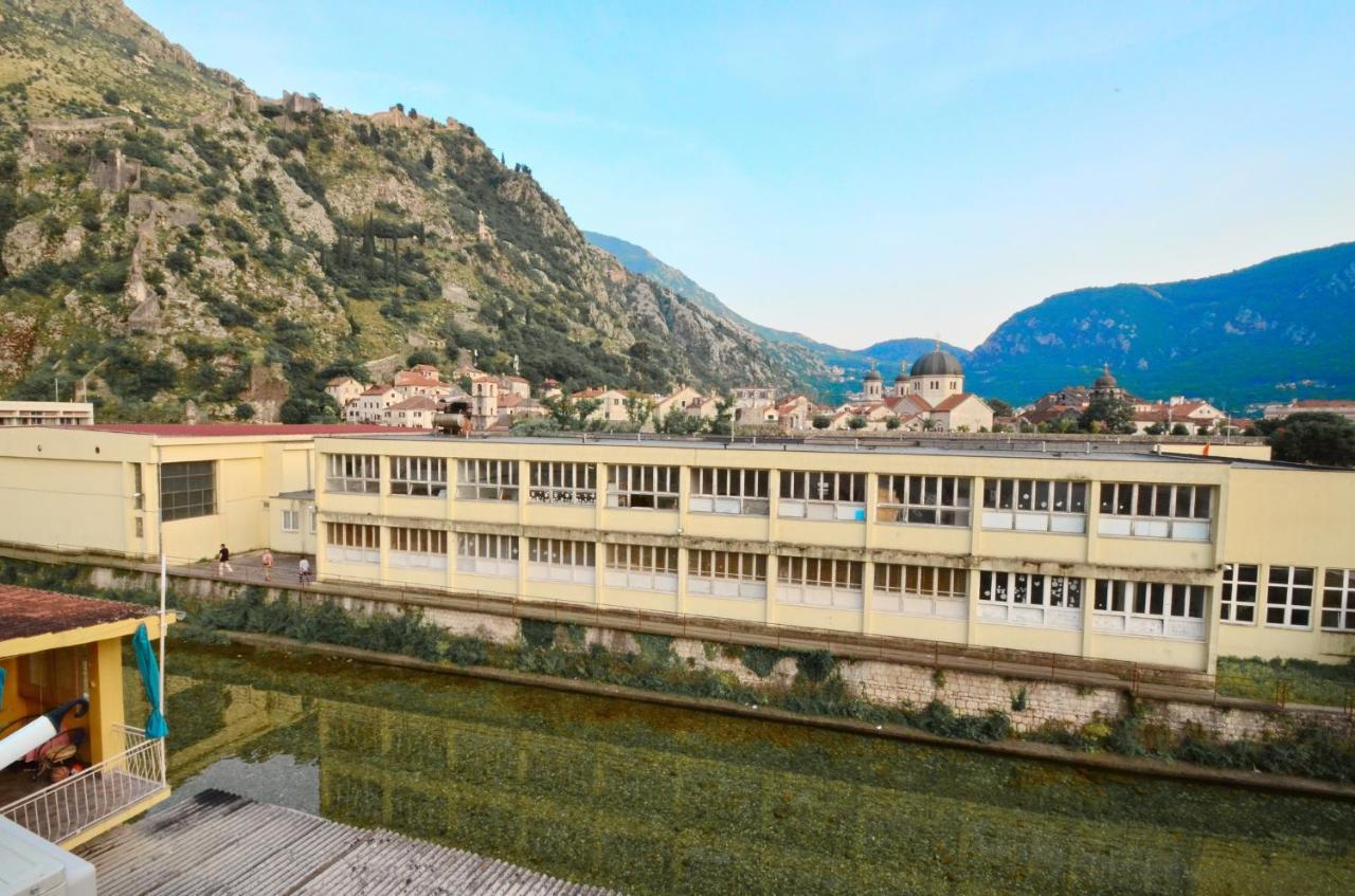 Art Oasis * Kotor
